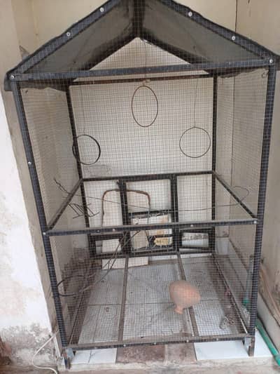 burgs cage for sale 03118080587