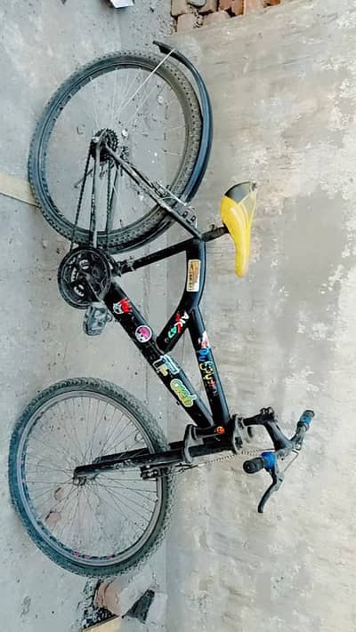 sale karme hai cycle