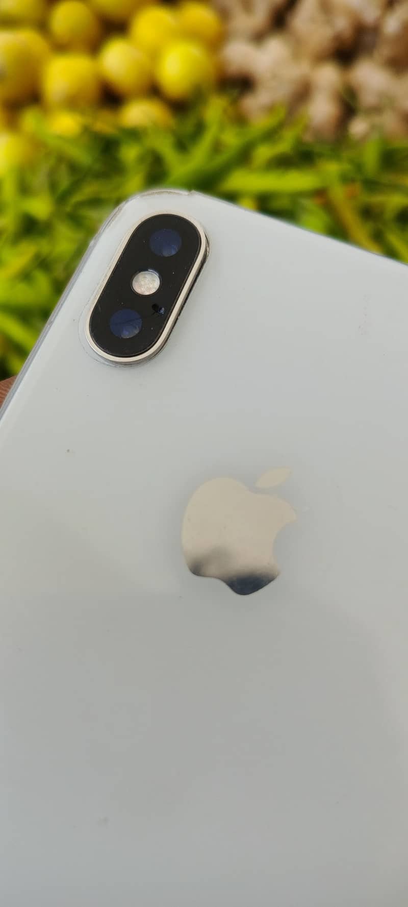 Apple iPhone X 12