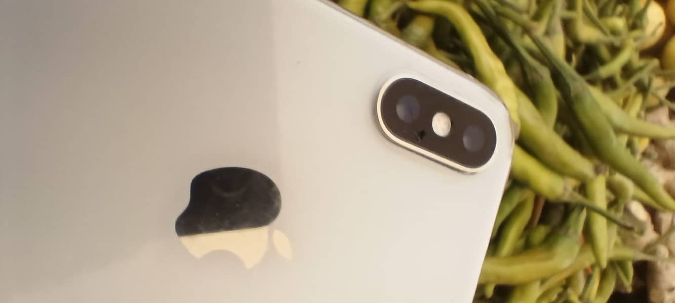 Apple iPhone X 13