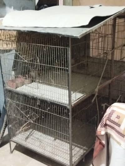 birds cage