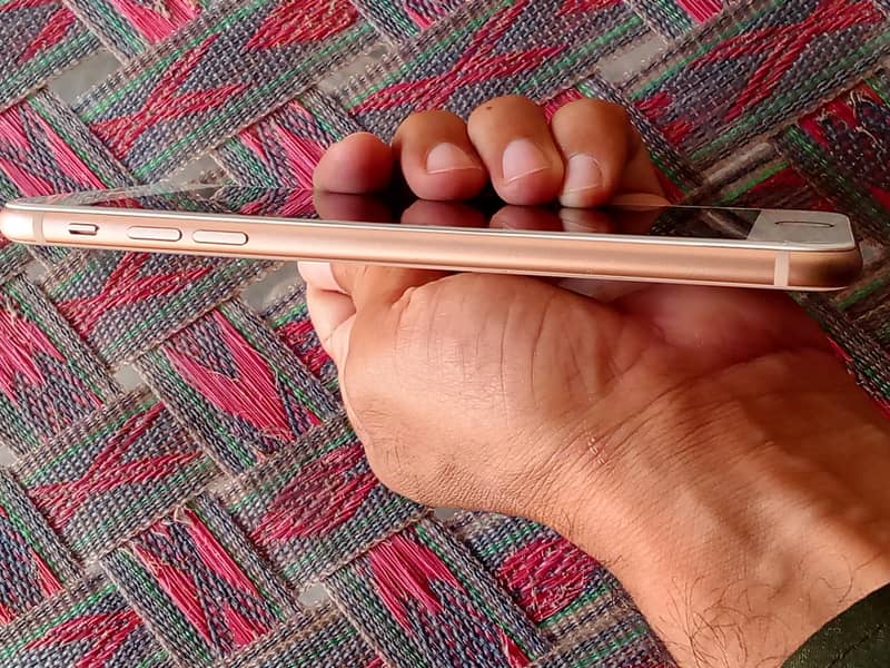 Apple iPhone 8 Plus 1