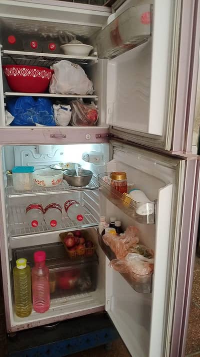 vista fridge