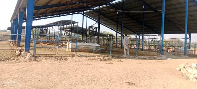Better opportunity for investors land agriculture farming etc