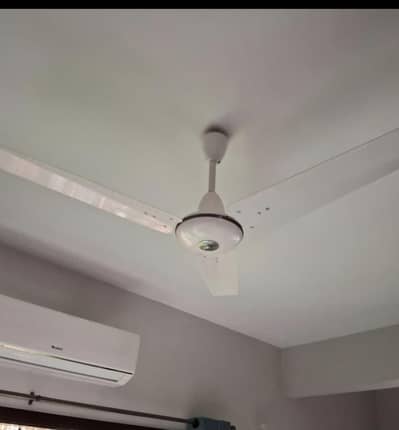 royal deluxe copper fans