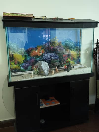 Aquarium-New