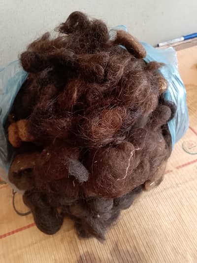 woman hair
