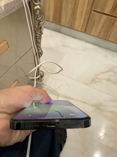 Apple iPhone 12 Pro Max