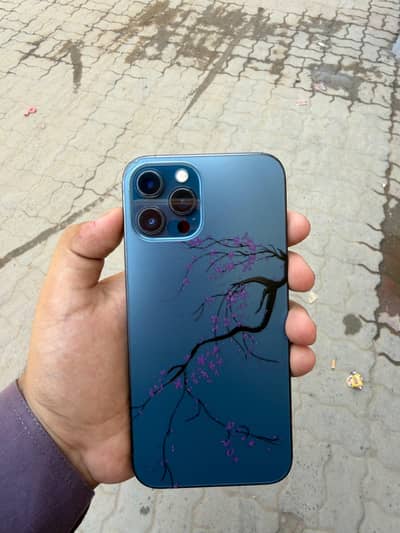 Apple iPhone 12 Pro Max