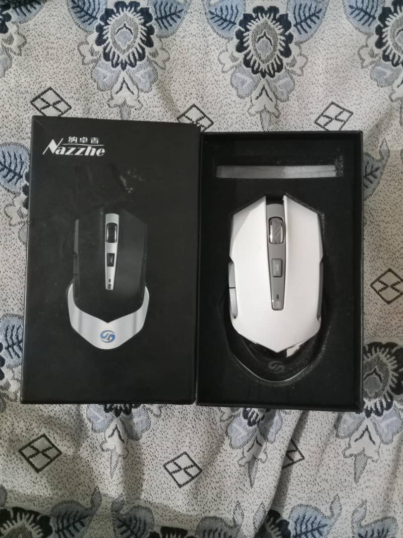 Mouse 1