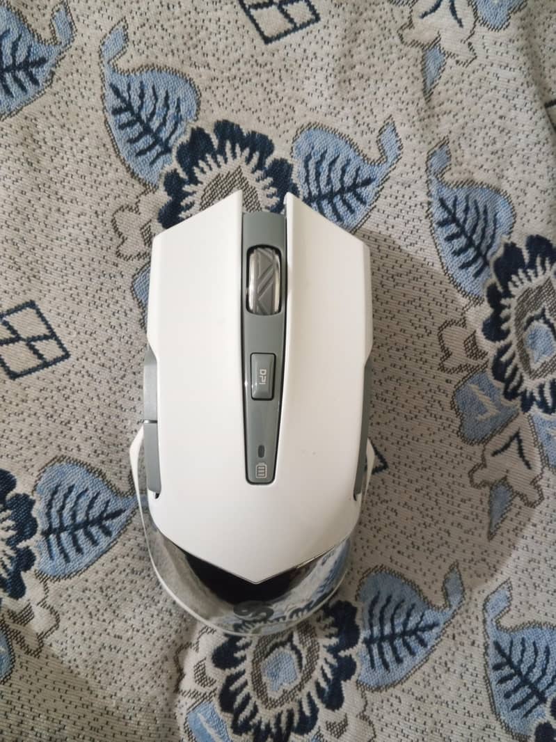 Mouse 2