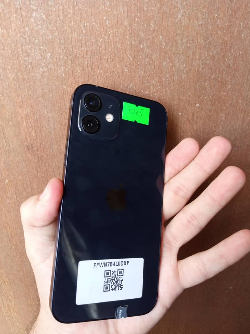 Apple iPhone 12 1