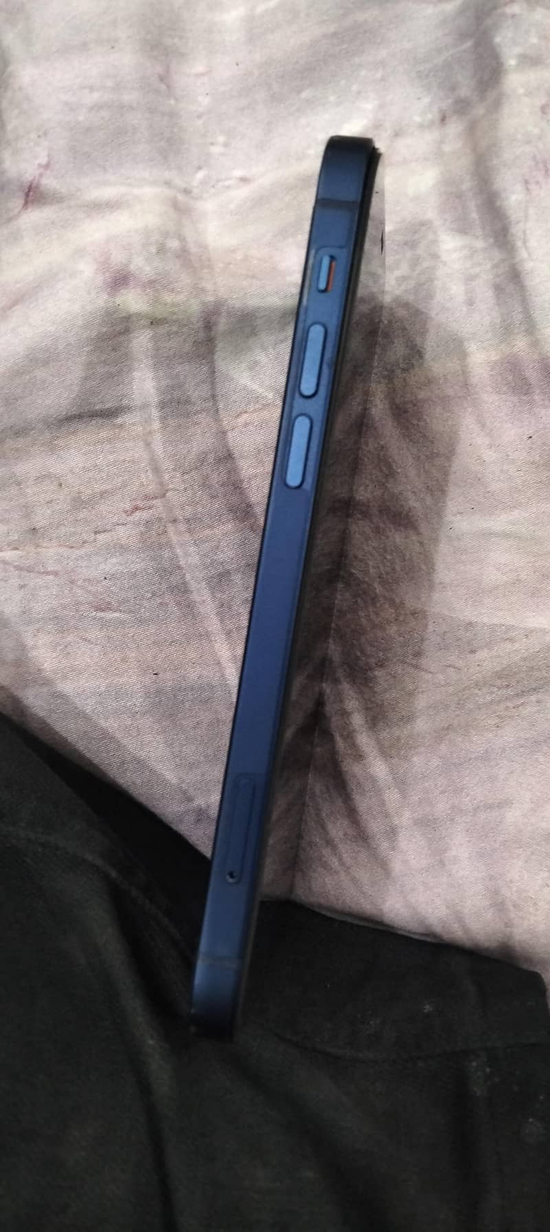 Apple iPhone 12 1