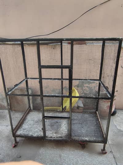 birds cage