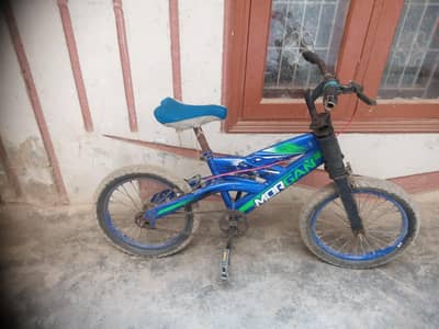 blue bicycle