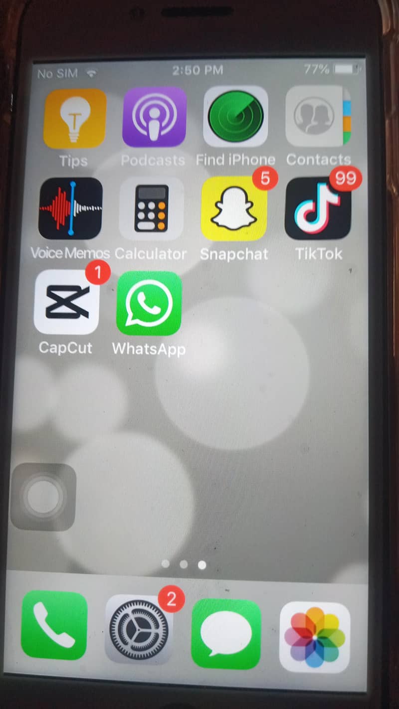 Apple iPhone 6 Plus 1