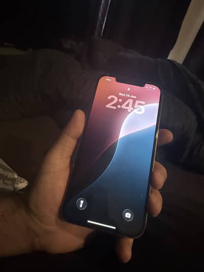 Apple iPhone 12 Pro Max