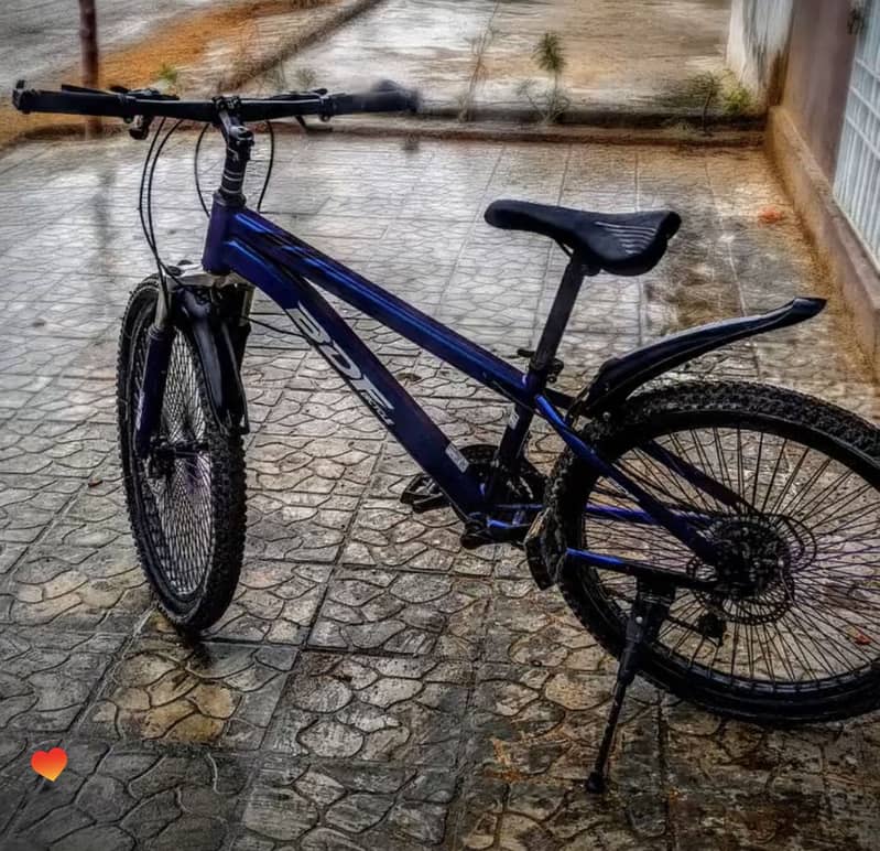 BDF Bicycle 1