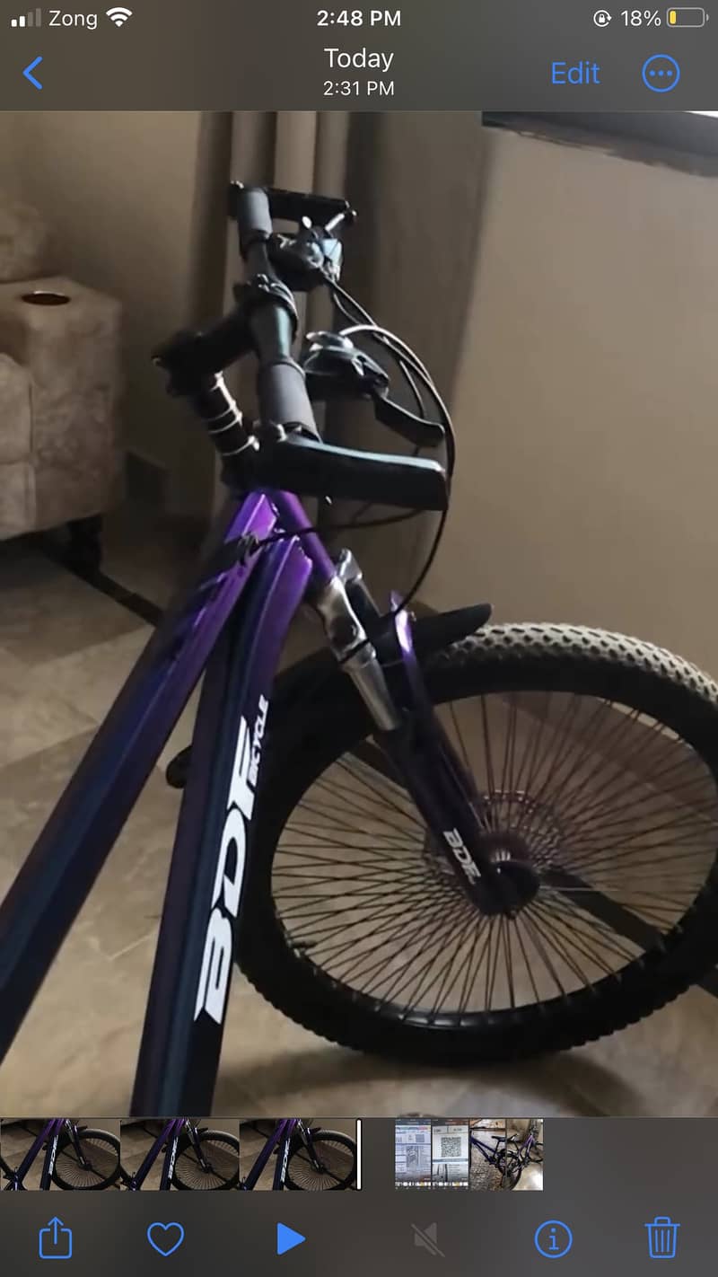 BDF Bicycle 2