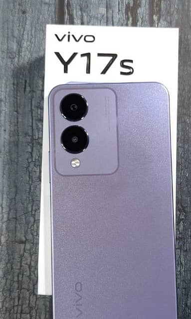 Vivo Y17S 6-128