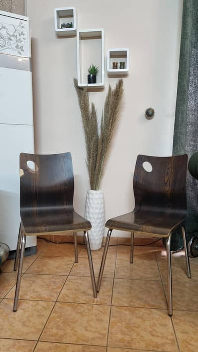 Dark Bentwood Seating Chairs — Lightweight and Durable