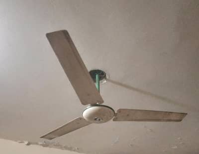 Ceiling Fan