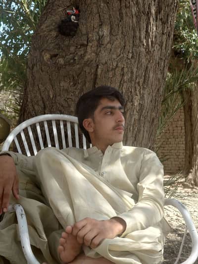 zimran 