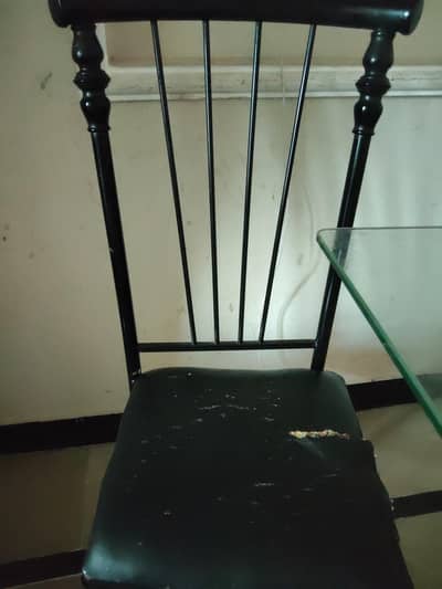 only dinning chairs 6