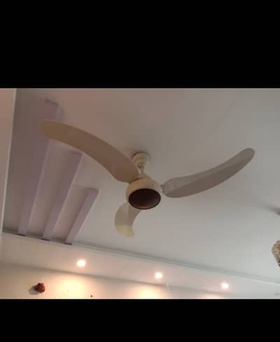 ceiling fan. good condition