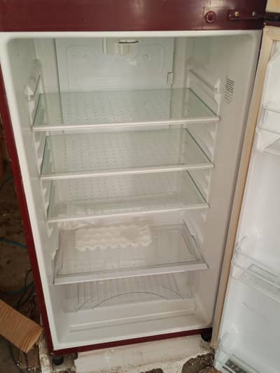 fridge option new