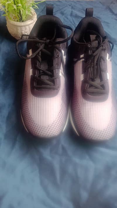 college shoes