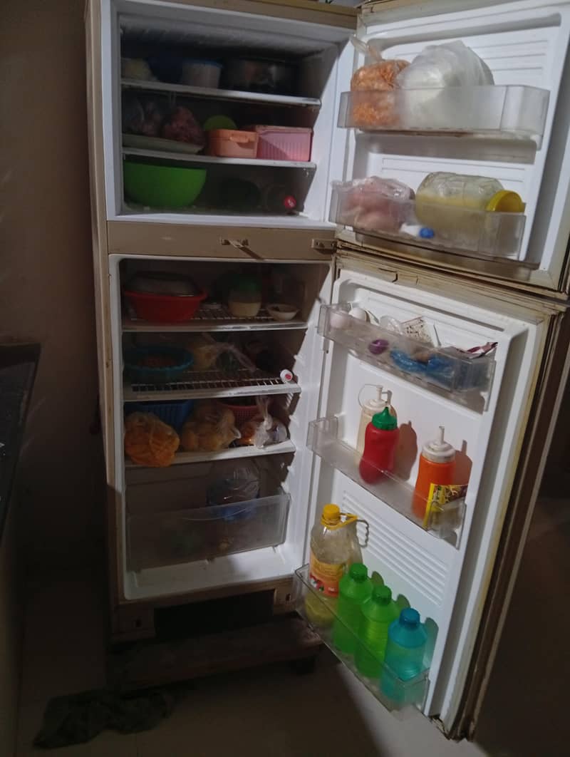 pel refrigerator 1