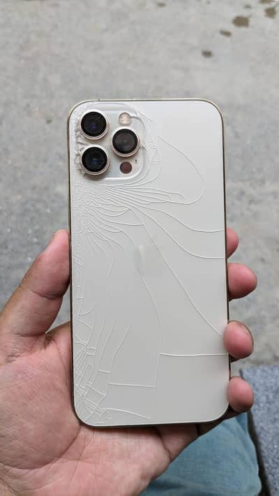 Apple iPhone 12 Pro Max