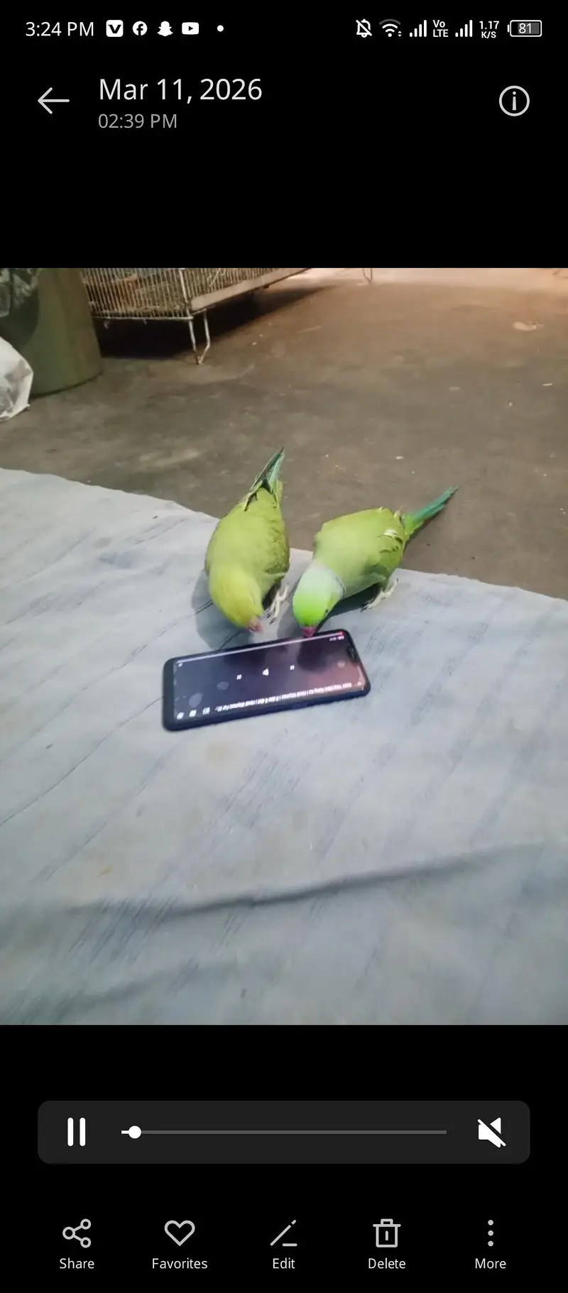 bijra ore jora dono bajee na ha