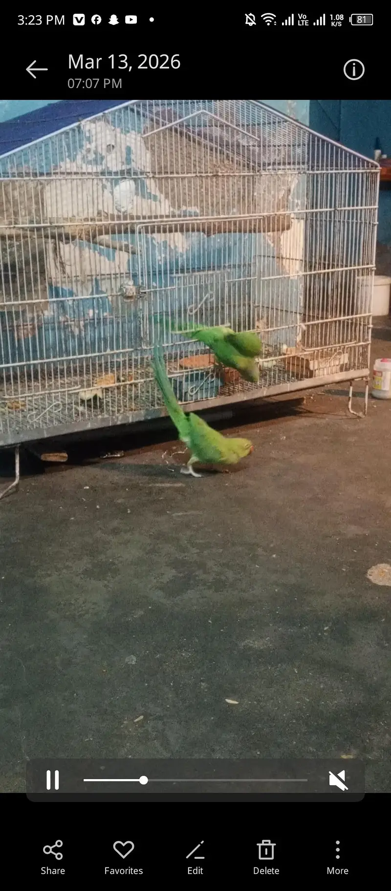 bijra ore jora dono bajee na ha — photo 3