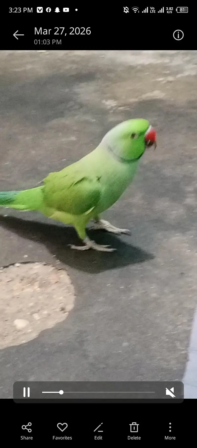 bijra ore jora dono bajee na ha — photo 4