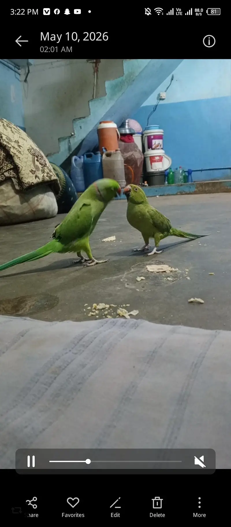 bijra ore jora dono bajee na ha — photo 5