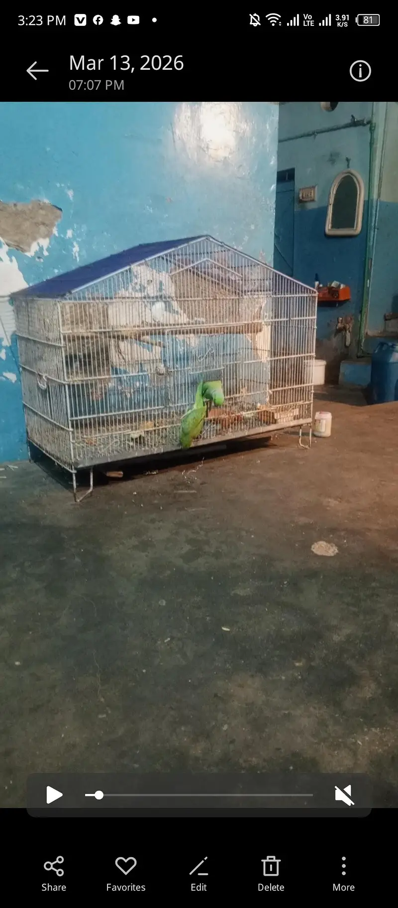 bijra ore jora dono bajee na ha — photo 6