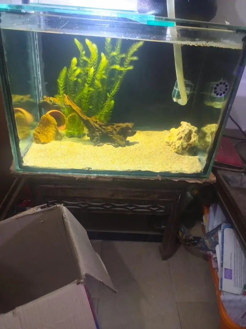 aquarium — photo 2