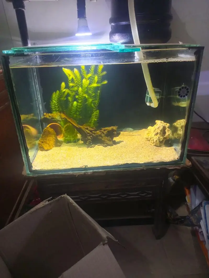 aquarium — photo 4
