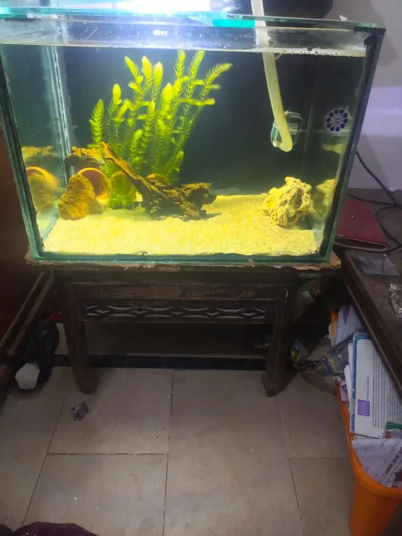aquarium — photo 6
