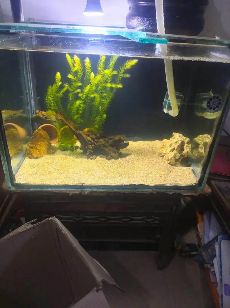 aquarium — photo 7