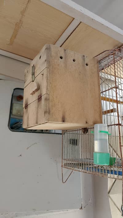 Cockatiel breeding box available