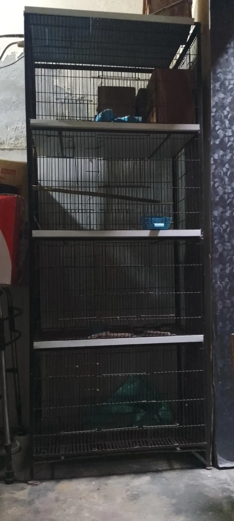 parrot cage