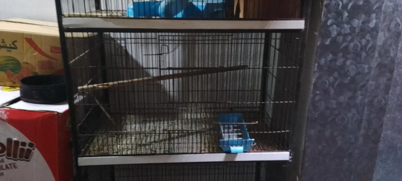 parrot cage — photo 2