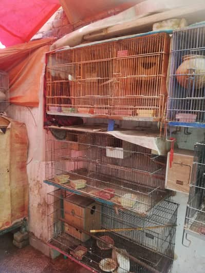 Cage and other