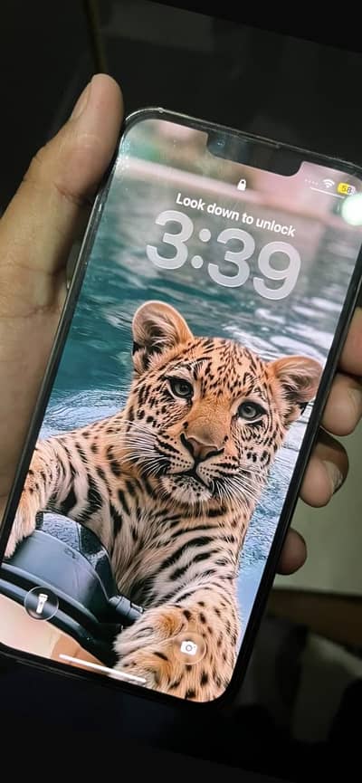 Apple iPhone 13 Pro Max