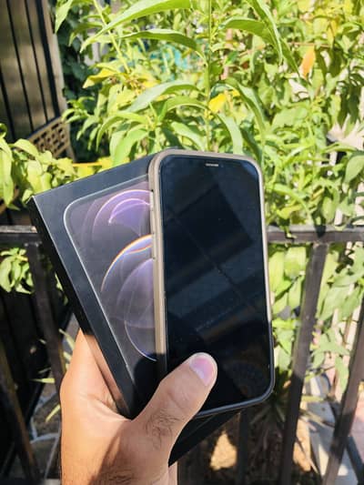 iPhone 12 Pro PTA Approved