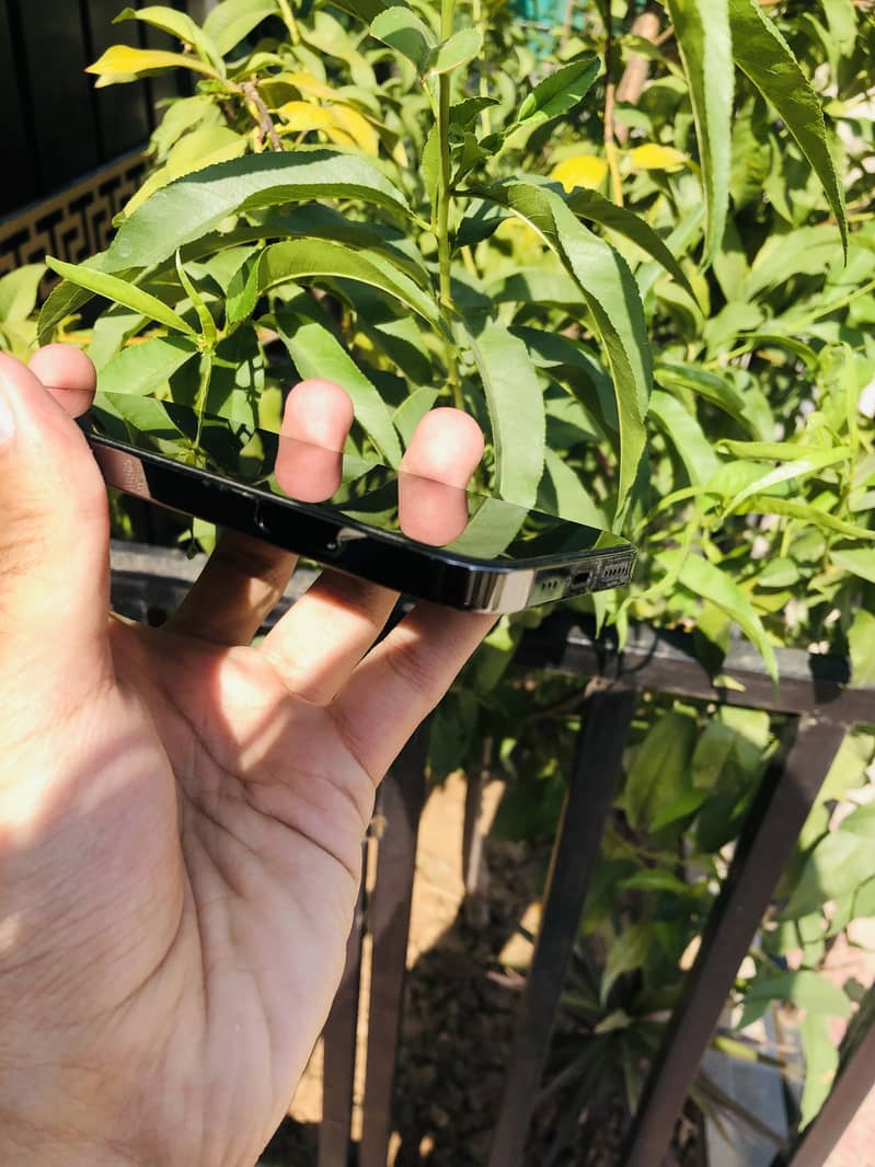 iPhone 12 Pro 3