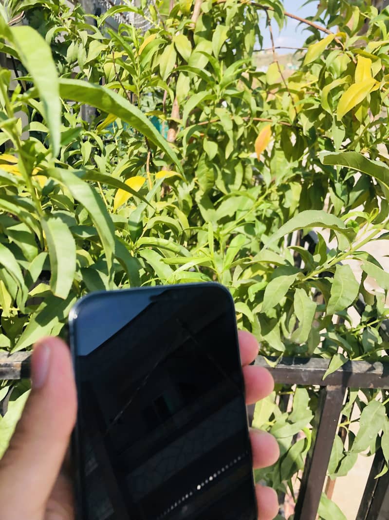 iPhone 12 Pro 10